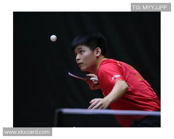 杨伟专访:深入探讨乒乓球成功背后的秘诀与心路历程